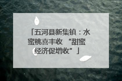 五河县新集镇：水蜜桃喜丰收 “甜蜜经济促增收”