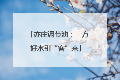 亦庄调节池：一方好水引“客”来