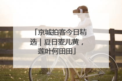 京城拍客今日精选｜夏日麦儿黄，莲叶何田田