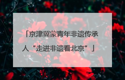 京津冀蒙青年非遗传承人“走进非遗看北京”