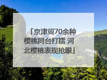 京津冀70余种樱桃同台打擂 河北樱桃表现抢眼