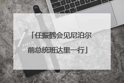 任振鹤会见尼泊尔前总统班达里一行