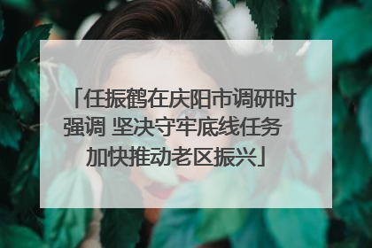 任振鹤在庆阳市调研时强调 坚决守牢底线任务 加快推动老区振兴