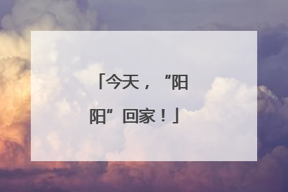今天，“阳阳”回家！