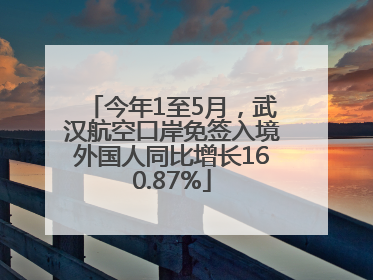 今年1至5月，武汉航空口岸免签入境外国人同比增长160.87%