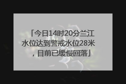 今日14时20分兰江水位达到警戒水位28米，目前已缓慢回落