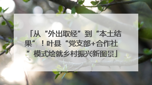 从“外出取经”到“本土结果”！叶县“党支部+合作社”模式绘就乡村振兴新图景
