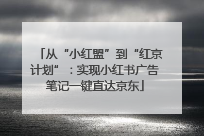 从“小红盟”到“红京计划”：实现小红书广告笔记一键直达京东