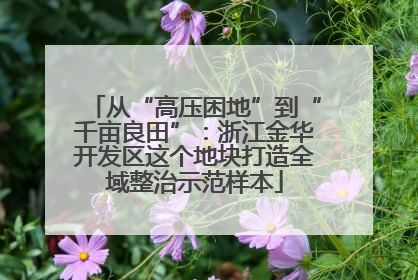 从“高压困地”到“千亩良田”：浙江金华开发区这个地块打造全域整治示范样本