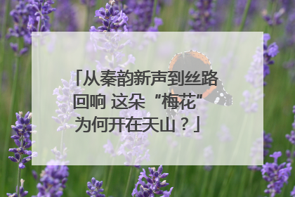 从秦韵新声到丝路回响 这朵“梅花”为何开在天山？