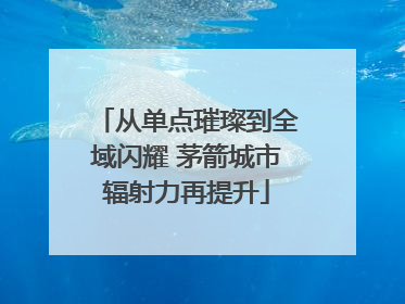 从单点璀璨到全域闪耀 茅箭城市辐射力再提升