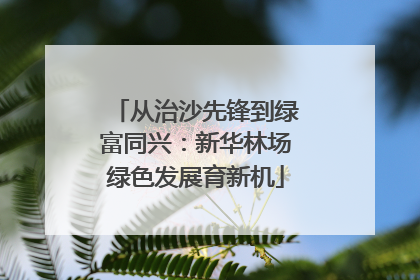 从治沙先锋到绿富同兴：新华林场绿色发展育新机