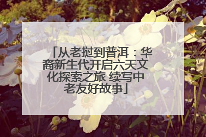 从老挝到普洱：华裔新生代开启六天文化探索之旅 续写中老友好故事