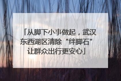 从脚下小事做起，武汉东西湖区清除“绊脚石”让群众出行更安心