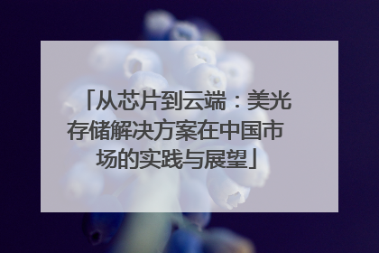 从芯片到云端：美光存储解决方案在中国市场的实践与展望