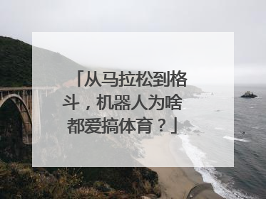 从马拉松到格斗，机器人为啥都爱搞体育？