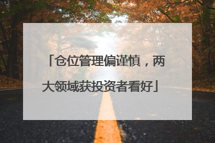 仓位管理偏谨慎，两大领域获投资者看好