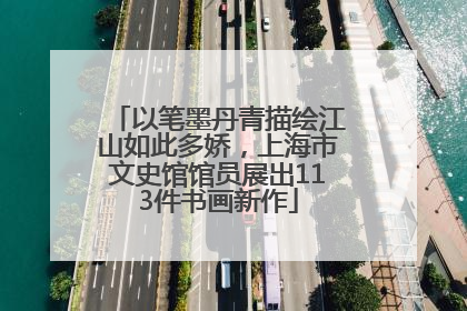 以笔墨丹青描绘江山如此多娇，上海市文史馆馆员展出113件书画新作