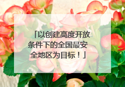 以创建高度开放条件下的全国最安全地区为目标！