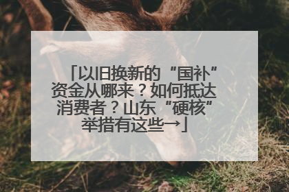 以旧换新的“国补”资金从哪来？如何抵达消费者？山东“硬核”举措有这些→
