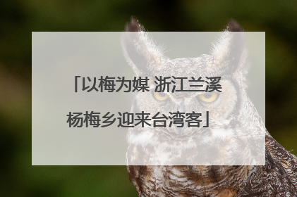 以梅为媒 浙江兰溪杨梅乡迎来台湾客
