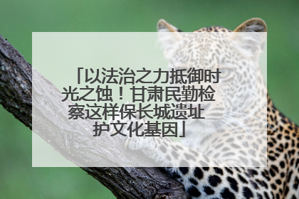 以法治之力抵御时光之蚀！甘肃民勤检察这样保长城遗址 护文化基因