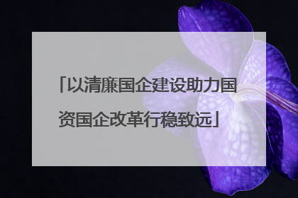 以清廉国企建设助力国资国企改革行稳致远