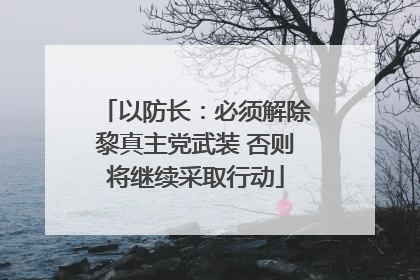 以防长：必须解除黎真主党武装 否则将继续采取行动