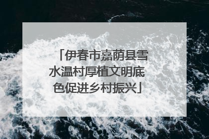 伊春市嘉荫县雪水温村厚植文明底色促进乡村振兴