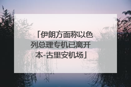 伊朗方面称以色列总理专机已离开本-古里安机场