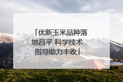 优新玉米品种落地昌平 科学技术指导助力丰收