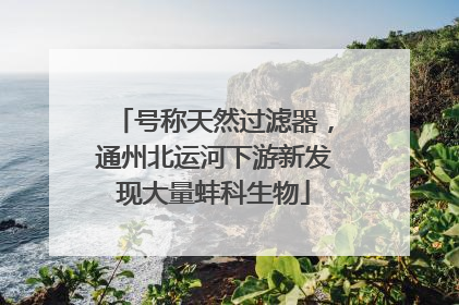 号称天然过滤器，通州北运河下游新发现大量蚌科生物