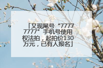 又现尾号“77777777”手机号使用权法拍，起拍价130万元，已有人报名