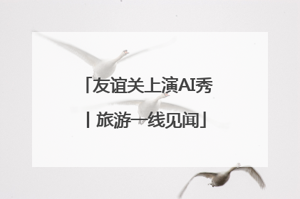 友谊关上演AI秀丨旅游一线见闻