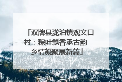 双牌县泷泊镇观文口村：粽叶飘香承古韵 乡情凝聚展新篇
