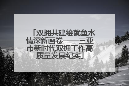 双拥共建绘就鱼水情深新画卷——三亚市新时代双拥工作高质量发展纪实