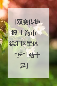 双赛传捷报 上海市徐汇区军休“乒”劲十足