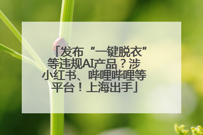 发布“一键脱衣”等违规AI产品？涉小红书、哔哩哔哩等平台！上海出手