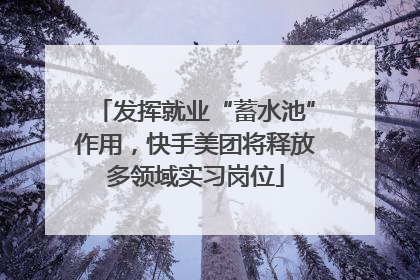 发挥就业“蓄水池”作用，快手美团将释放多领域实习岗位