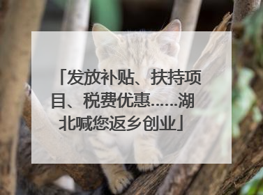 发放补贴、扶持项目、税费优惠……湖北喊您返乡创业