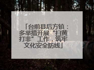 台前县后方镇：多举措开展“扫黄打非”工作，筑牢文化安全防线