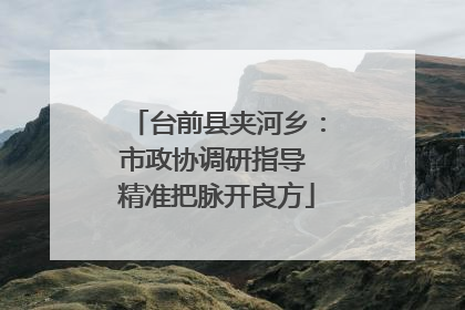 台前县夹河乡：市政协调研指导 精准把脉开良方