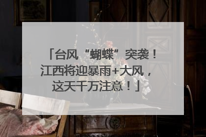 台风“蝴蝶”突袭！江西将迎暴雨+大风，这天千万注意！