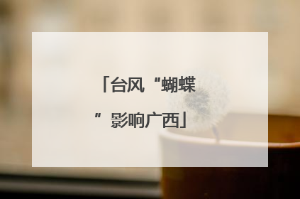 台风“蝴蝶”影响广西