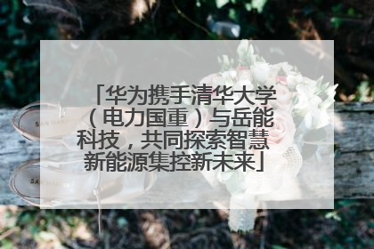 华为携手清华大学（电力国重）与岳能科技，共同探索智慧新能源集控新未来