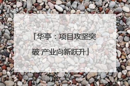华亭：项目攻坚突破 产业向新跃升