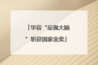 华容“最强大脑”斩获国家金奖