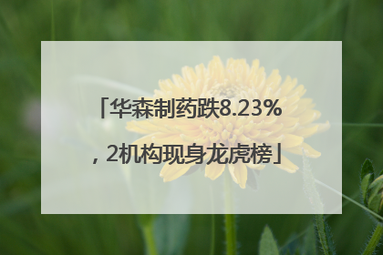 华森制药跌8.23%，2机构现身龙虎榜
