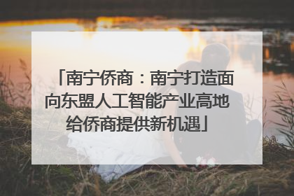 南宁侨商：南宁打造面向东盟人工智能产业高地给侨商提供新机遇