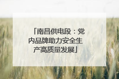 南昌供电段：党内品牌助力安全生产高质量发展
